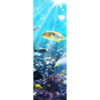 Xxl Wandbild Korallenriff Im Ozean Schmal Motivvorschau