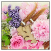 Xxl Wandbild Kraeuter Blumen Quadrat Produktvorschau Frontal