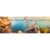 Xxl Wandbild Kuestenlandschaft Mit Altem Baum Panorama Motivvorschau