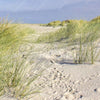 Xxl Wandbild Kuestenwanderung Durch Sandduenen Querformat Zoom