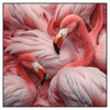 Xxl Wandbild Kuschelnde Flamingos Quadrat Produktvorschau Frontal