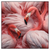 Xxl Wandbild Kuschelnde Flamingos Quadrat Produktvorschau Frontal