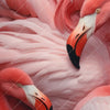Xxl Wandbild Kuschelnde Flamingos Querformat Zoom