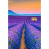 Xxl Wandbild Lavendel Blumen Feld Hochformat Motivvorschau