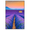 Xxl Wandbild Lavendel Blumen Feld Hochformat Produktvorschau Frontal