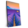 Xxl Wandbild Lavendel Blumen Feld Hochformat Produktvorschau Seitlich