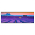 Xxl Wandbild Lavendel Blumen Feld Panorama Produktvorschau Frontal