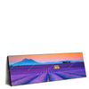 Xxl Wandbild Lavendel Blumen Feld Panorama Produktvorschau Seitlich