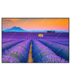 Xxl Wandbild Lavendel Blumen Feld Querformat Produktvorschau Frontal