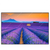 Xxl Wandbild Lavendel Blumen Feld Querformat Produktvorschau Frontal