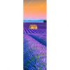 Xxl Wandbild Lavendel Blumen Feld Schmal Motivvorschau