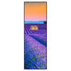 Xxl Wandbild Lavendel Blumen Feld Schmal Produktvorschau Frontal