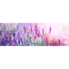 Xxl Wandbild Lavendelbluetenfeld Panorama Motivvorschau