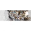 Xxl Wandbild Leopard Aquarell Panorama Motivvorschau