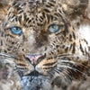 Xxl Wandbild Leopard Aquarell Quadrat Zoom