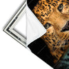 Xxl Wandbild Leopard Im Wasser Hochformat Materialvorschau