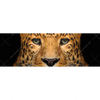 Xxl Wandbild Leopard Im Wasser Panorama Motivvorschau