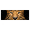 Xxl Wandbild Leopard Im Wasser Panorama Produktvorschau Frontal