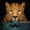 Xxl Wandbild Leopard Im Wasser Quadrat Motivvorschau