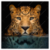 Xxl Wandbild Leopard Im Wasser Quadrat Produktvorschau Frontal