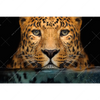 Xxl Wandbild Leopard Im Wasser Querformat Motivvorschau