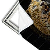 Xxl Wandbild Leopard In Der Dunkelheit Hochformat Materialvorschau