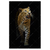 Xxl Wandbild Leopard In Der Dunkelheit Hochformat Produktvorschau Frontal