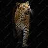 Xxl Wandbild Leopard In Der Dunkelheit Quadrat Motivvorschau