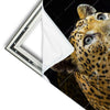 Xxl Wandbild Leopard In Der Dunkelheit Schmal Materialvorschau