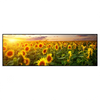 Xxl Wandbild Leuchtend Gelbe Sonnenblumen Am Abend Panorama Produktvorschau Frontal