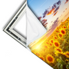 Xxl Wandbild Leuchtend Gelbe Sonnenblumen Am Abend Querformat Materialvorschau