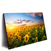 Xxl Wandbild Leuchtend Gelbe Sonnenblumen Am Abend Querformat Produktvorschau Seitlich