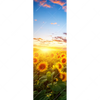 Xxl Wandbild Leuchtend Gelbe Sonnenblumen Am Abend Schmal Motivvorschau