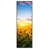 Xxl Wandbild Leuchtend Gelbe Sonnenblumen Am Abend Schmal Produktvorschau Frontal