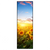 Xxl Wandbild Leuchtend Gelbe Sonnenblumen Am Abend Schmal Produktvorschau Frontal