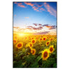 Xxl Wandbild Leuchtend Gelben Sonnenblumen Am Abend Hochformat Produktvorschau Frontal