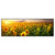 Xxl Wandbild Leuchtend Gelben Sonnenblumen Am Abend Panorama Produktvorschau Frontal