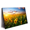 Xxl Wandbild Leuchtend Gelben Sonnenblumen Am Abend Querformat Produktvorschau Seitlich