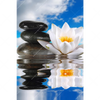 Xxl Wandbild Lilie Zensteine Hochformat Motivvorschau