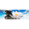 Xxl Wandbild Lilie Zensteine Panorama Motivvorschau