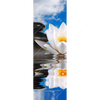 Xxl Wandbild Lilie Zensteine Schmal Motivvorschau