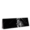 Xxl Wandbild Loewe Mit Blauen Augen Panorama Produktvorschau Seitlich