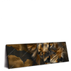 Xxl Wandbild Loewenportrait Kraft Und Eleganz Panorama Produktvorschau Seitlich