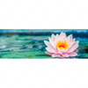 Xxl Wandbild Lotusblume Panorama Motivvorschau