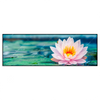 Xxl Wandbild Lotusblume Panorama Produktvorschau Frontal