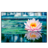 Xxl Wandbild Lotusblume Querformat Produktvorschau Frontal