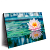 Xxl Wandbild Lotusblume Querformat Produktvorschau Seitlich