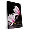 Xxl Wandbild Magnolien Zen Steine Hochformat Produktvorschau Seitlich