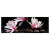 Xxl Wandbild Magnolien Zen Steine Panorama Produktvorschau Frontal
