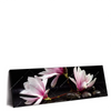 Xxl Wandbild Magnolien Zen Steine Panorama Produktvorschau Seitlich